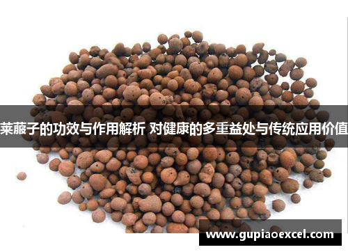 莱菔子的功效与作用解析 对健康的多重益处与传统应用价值