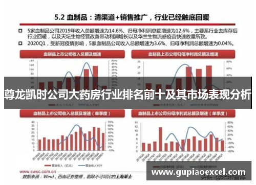 尊龙凯时公司大药房行业排名前十及其市场表现分析